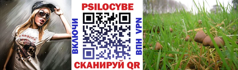 Псилоцибиновые грибы мицелий  Сим 